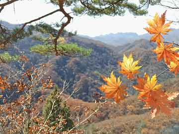 胎停大月份打胎药微信“奔县游”火热，激发县域经济新动能